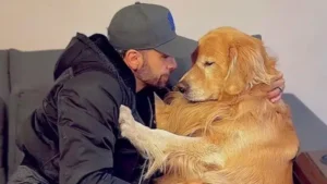 Após morte de cão, Gol suspende transporte de pets por 30 dias