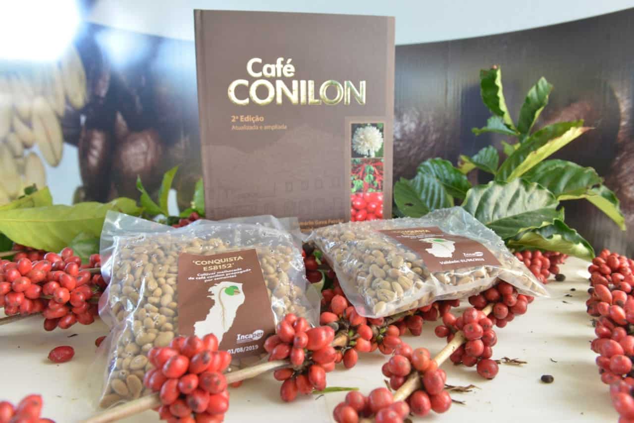 Café conilon brasileiro cresce no maior produtor, Ásia