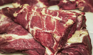 exportações de carne bovina