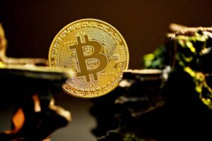 criador do bitcoin