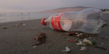 Cinco empresas são responsáveis por 24% da poluição plástica