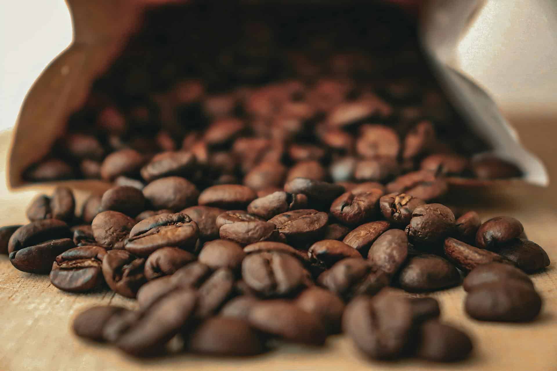 Indústria do café redefine processos para menos emissões