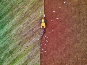 Dívidas: crise de preços impacta ao menos sete Fiagros