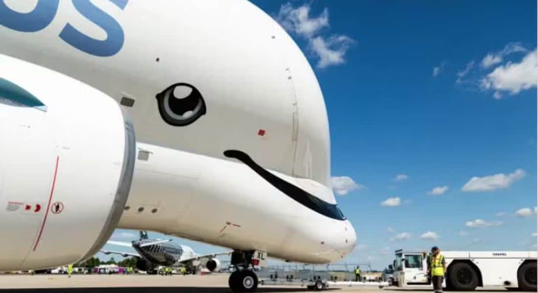 Airbus Beluga introduz companhia aérea inspirada em baleias