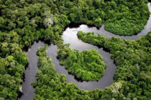 Amazônia - Brasil