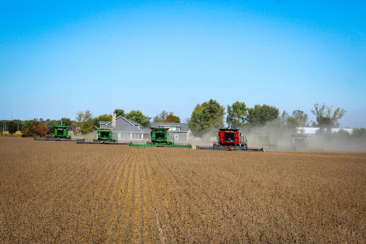 BrasilAgro compra Companhia Novo Horizonte. (Imagem: Divulgação/BrasilAgro)