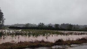 Enchentes no Rio Grande do Sul