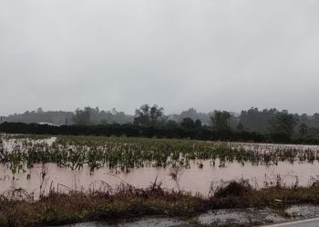 Enchentes no Rio Grande do Sul