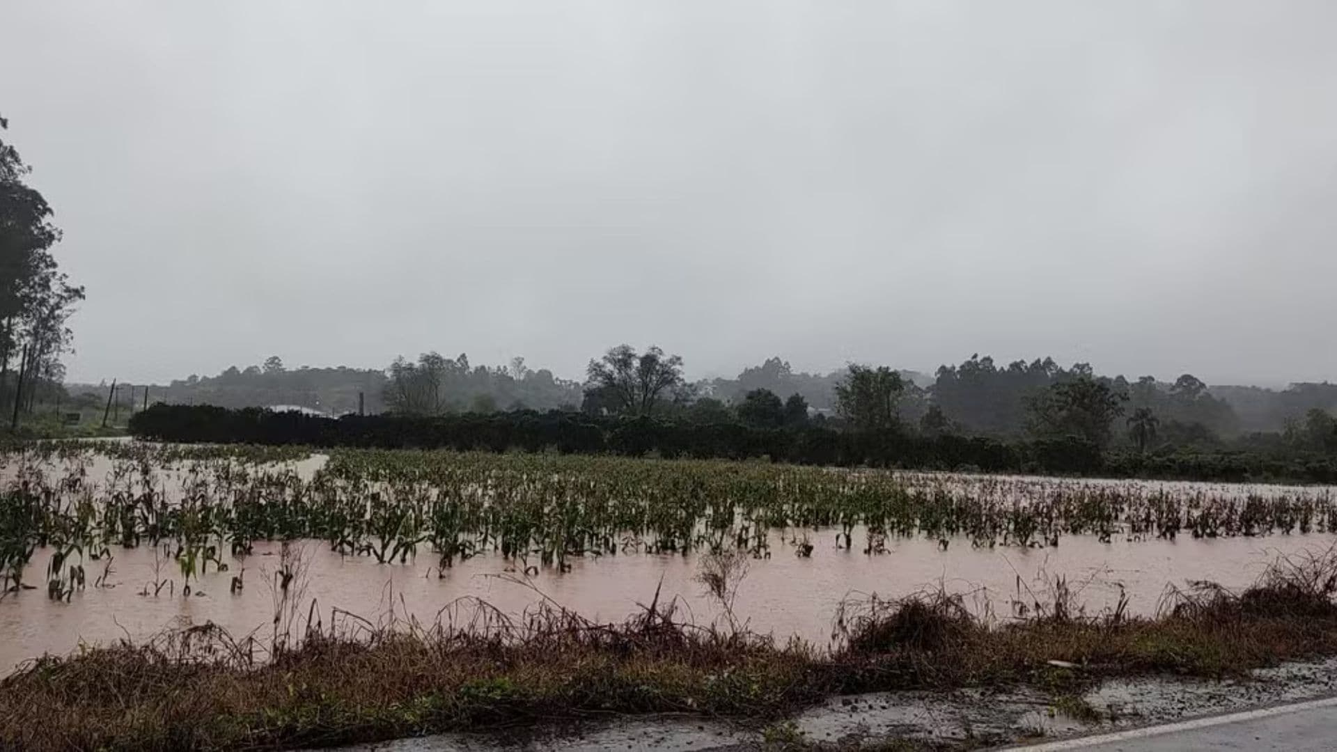 Enchentes no Rio Grande do Sul