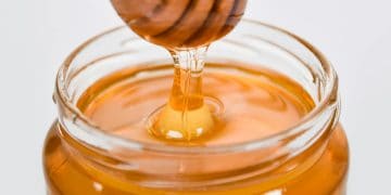 Abelhas sem ferrão: o segredo do mel que custa R$ 1.300 o litro