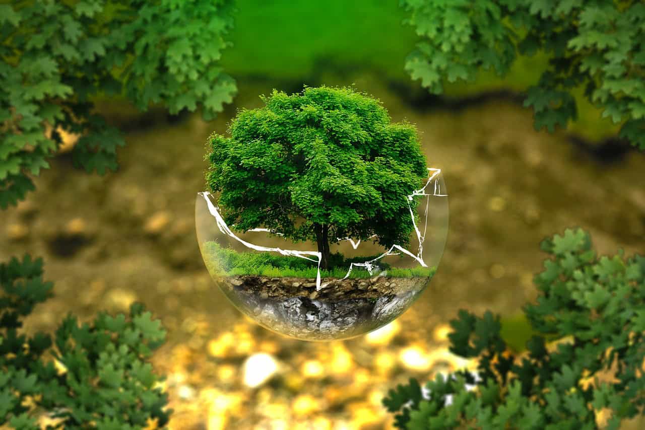 Sustentabilidade - Meio Ambiente - ESG - Fórum Econômico Mundial (1) - práticas ambientais