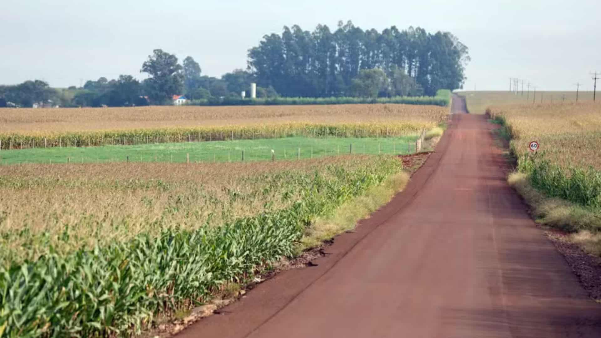Descubra o ambicioso plano para um novo porto seco no Paraná
