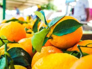 Brasil terá pior safra de laranja em 36 anos, prevê relatório