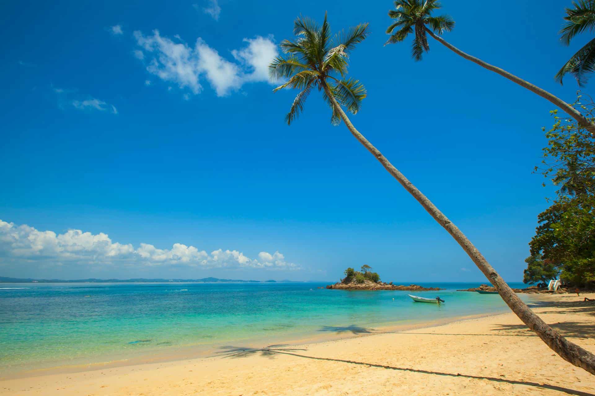 Entenda nova PEC que pode levar à privatização das praias brasileiras