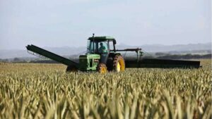 maquinas de empresas em recuperações judiciais no agronegócio