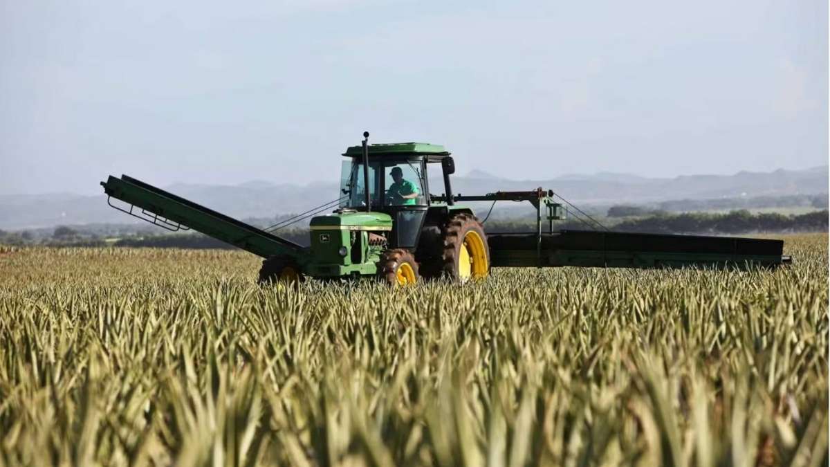 maquinas de empresas em recuperações judiciais no agronegócio