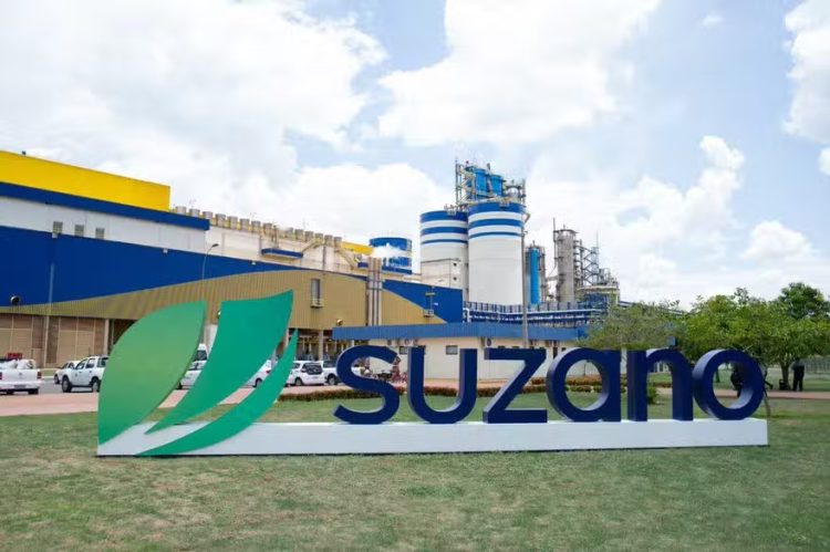 Ações da Suzano melhoram após recusa de compra International Paper. (Foto: Divulgação/Suzano)