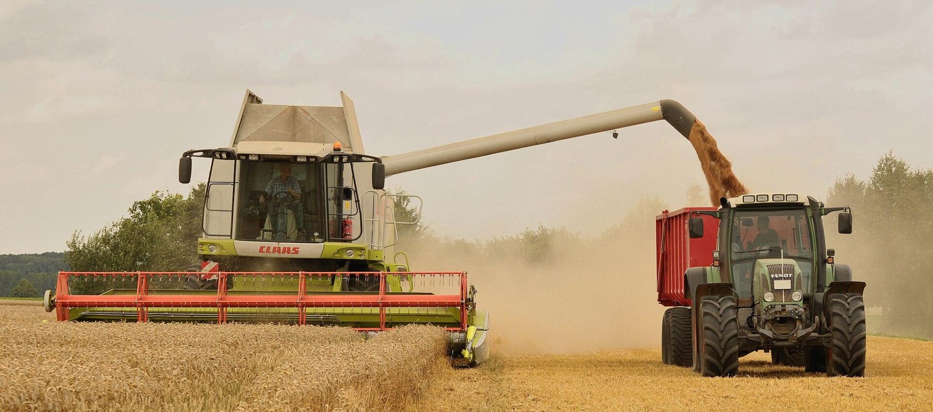 Agrotools e B3 fecham parceria para o agronegócio. (Foto: Michael Gäbler/Wikimedia Commons)