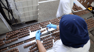 Indústria Alimentícia