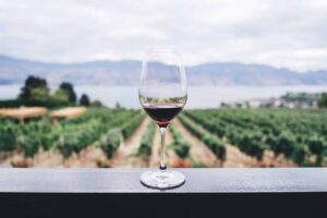 Investir em vinhos pode ser melhor do que ações Veja prós e contras