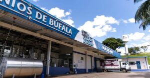 Produção de laticínios de búfala.
