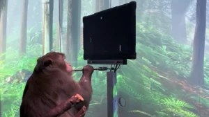 Ex-funcionária processa Neuralink após sofrer ferimentos de macaco infectado