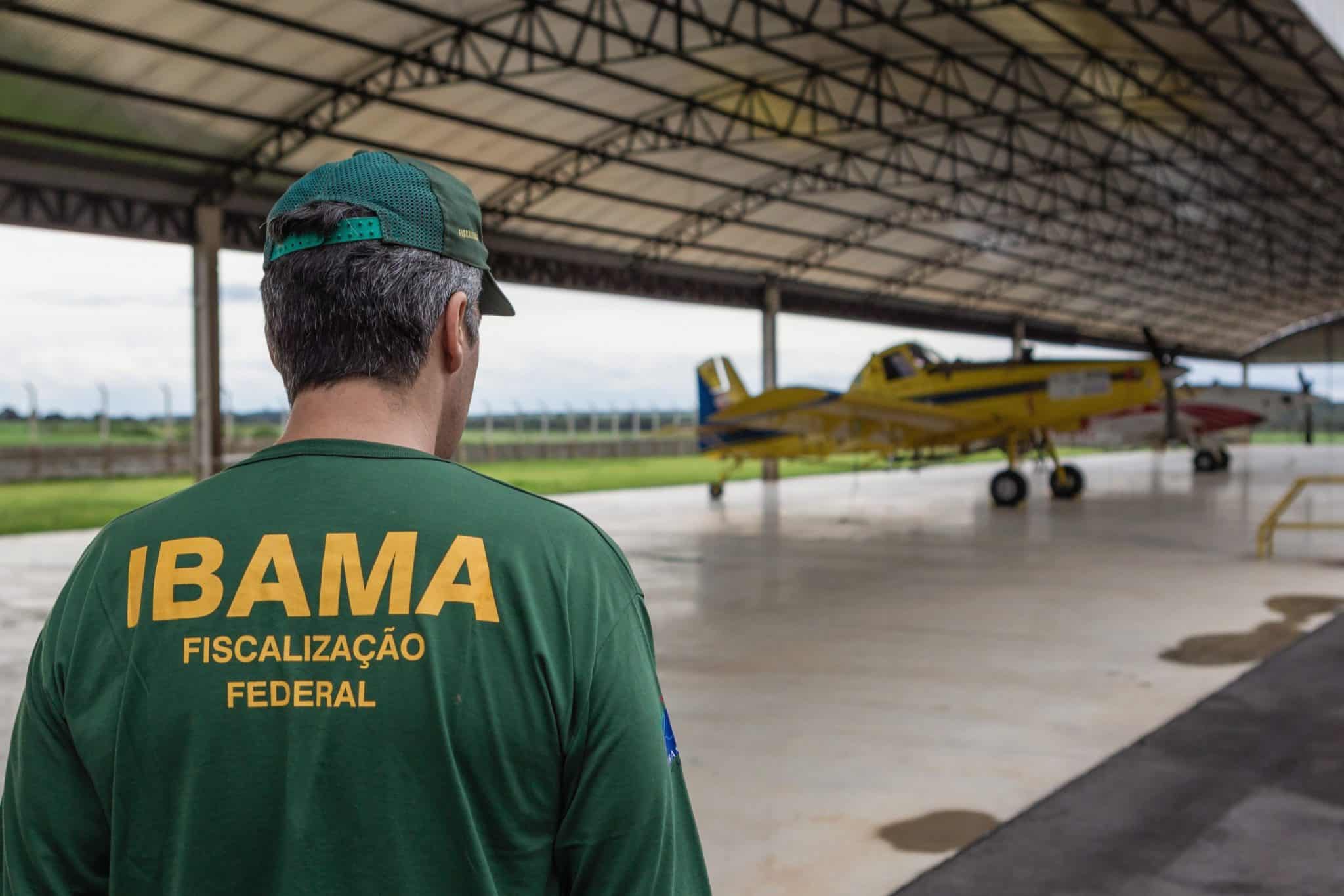Entenda a questão entre STJ, governo federal e servidores ambientais. (Foto: Vinícius Mendonça/Ibama)