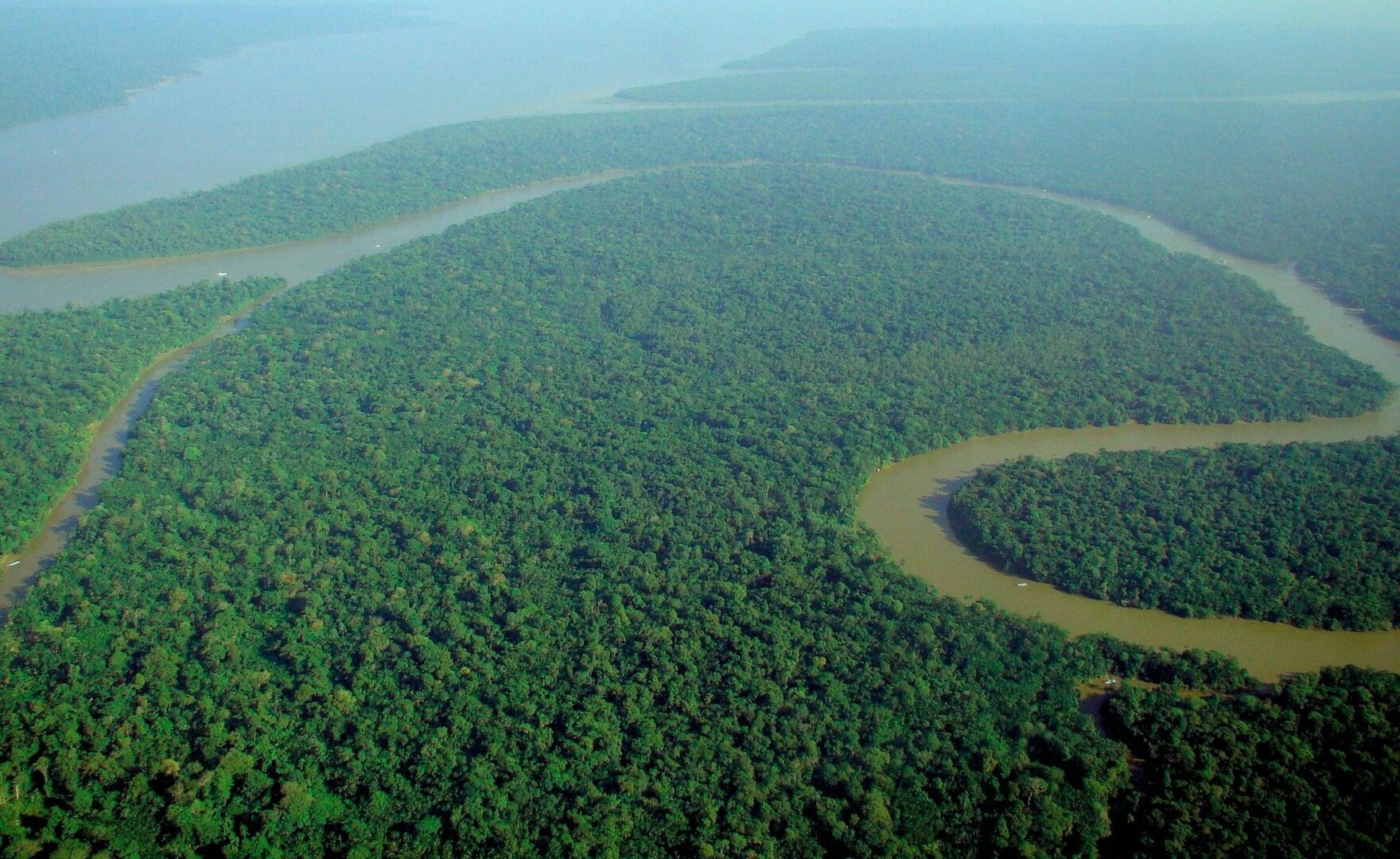 Entenda o que é a ETF da Amazônia. (Foto: lubasi/Wikimedia Commons)