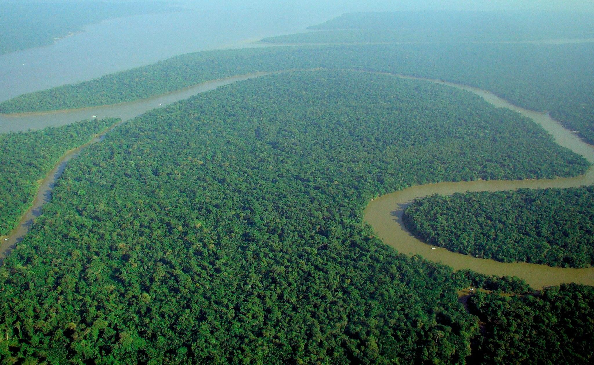 Entenda o que é a ETF da Amazônia. (Foto: lubasi/Wikimedia Commons)