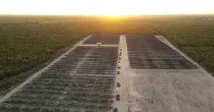 Imagem aérea da UFV Beberibe (3,16 MWp). Localizada no município de Beberibe, no Ceará. Fonte: Kroma Energia geração distribuída