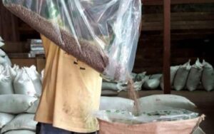 Veja quais são os lotes e marcas com café contaminado. (Foto: Divulgação/PDG Brasil)