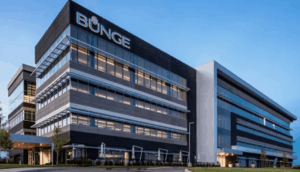 Bunge
