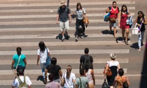 Expectativa de vida - Brasil
