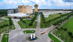 Desempenho financeiro da M. Dias Branco 2T24, destacando o crescimento no market share e prêmios recebidos.