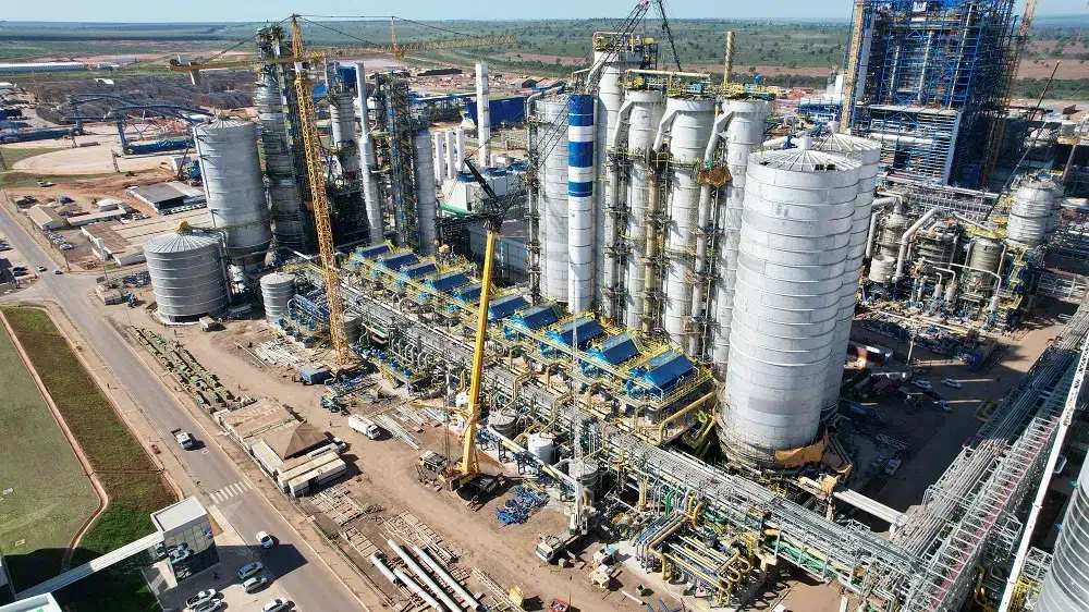 Investimentos do setor de celulose em foco. (Foto: Divulgação/Suzano)