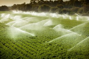 Projeto de lei propõe irrigação em áreas de preservação ambiental. (Foto: Divulgação)