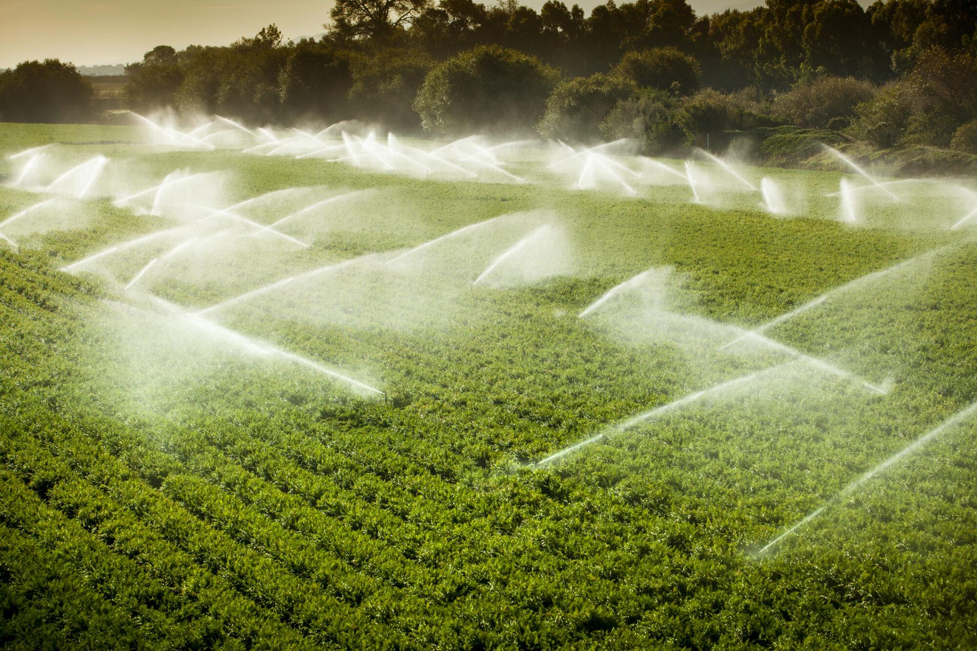 Projeto de lei propõe irrigação em áreas de preservação ambiental. (Foto: Divulgação)