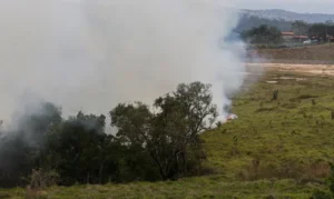 São Paulo - Produtores - Incêndio - Queimadas