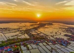 piscicultura-amazonia-investimentos-tomfisk