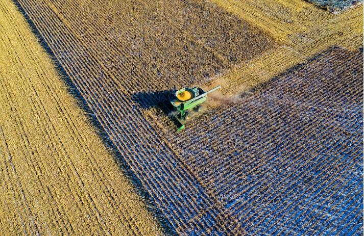 safra-brasileira-graos-deve-atingir-298M-toneladas-tomfisk