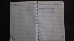 Garimpeiro vendem frangos a mais de R$ 700 na Terra Indígena Yanomani