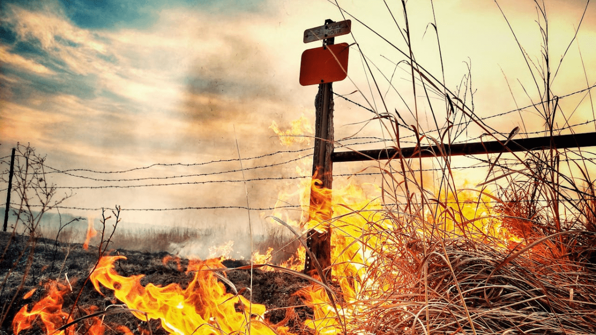 Os impactos das queimadas na economia brasileira são incalculáveis.