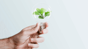Energia verde impulsiona o crescimento da tecnologia no Brasil