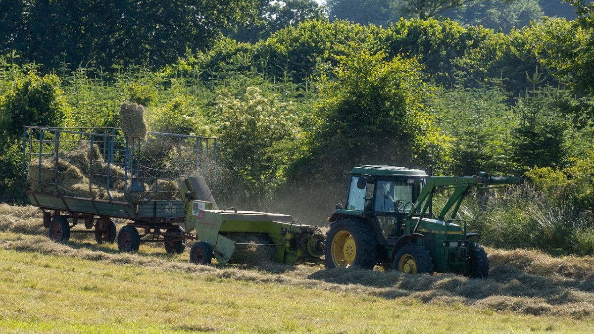 Imagem de uma máquina agrícola no campo para representar o agronegócio de São Paulo