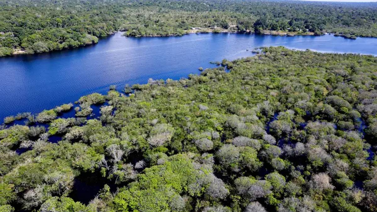 COP16 tem discussão sobre fundo de preservação de florestas tropicais