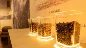 Diferentes tipos de café expostos na exposição "Caminhos do Café no Ceará".