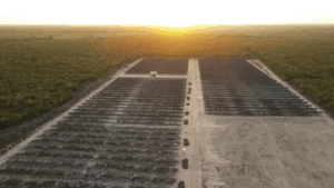 Bares e restaurantes do Ceará terão mais economia e sustentabilidade após parceria entre Abrasel e Kroma Energia