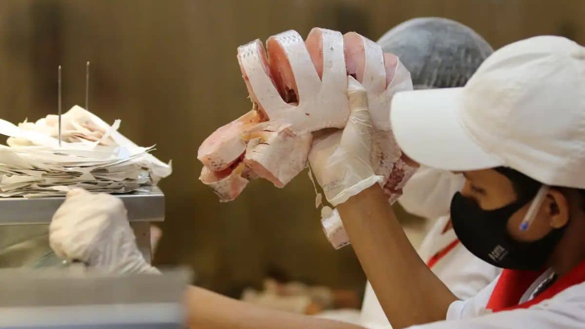 Imagem de uma funcionária trabalhando com peixes para representar a matéria dos pescados brasileiros.