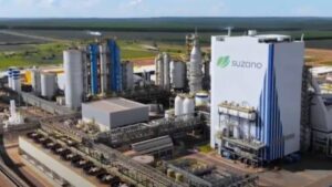 imagem da fábrica da Suzano que divulgou lucro