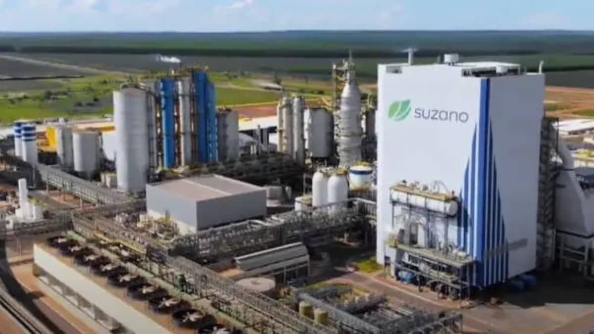 imagem da fábrica da Suzano que divulgou lucro